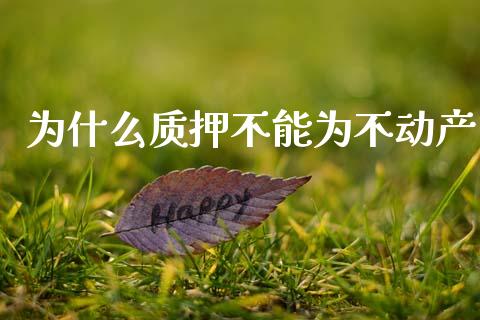 为什么质押不能为不动产_https://wap.sdyuehang.cn_债券资讯_第1张