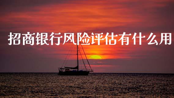 招商银行风险评估有什么用_https://wap.sdyuehang.cn_新股申购_第1张