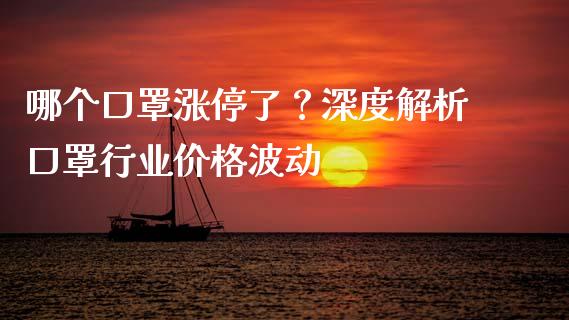 哪个口罩涨停了？深度解析口罩行业价格波动_https://wap.sdyuehang.cn_新股申购_第1张