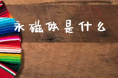 永磁体是什么_https://wap.sdyuehang.cn_产经新闻_第1张