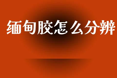 缅甸胶怎么分辨_https://wap.sdyuehang.cn_债券资讯_第1张