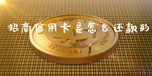 招商信用卡是怎么还款的_https://wap.sdyuehang.cn_产经新闻_第1张