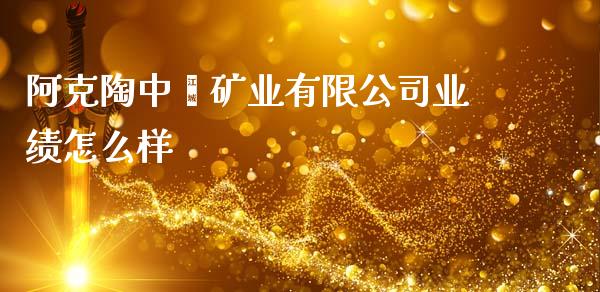 阿克陶中鑫矿业有限公司业绩怎么样_https://wap.sdyuehang.cn_新股申购_第1张