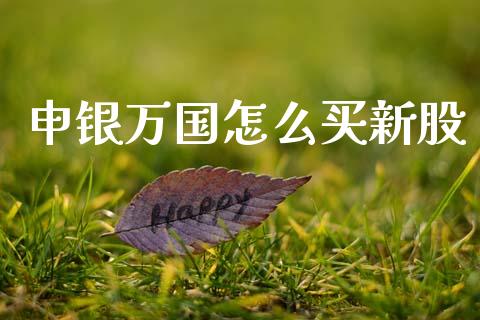 申银万国怎么买新股_https://wap.sdyuehang.cn_债券资讯_第1张