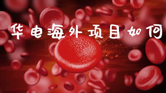 华电海外项目如何_https://wap.sdyuehang.cn_债券资讯_第1张