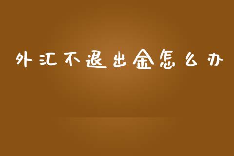 外汇不退出金怎么办_https://wap.sdyuehang.cn_新股申购_第1张