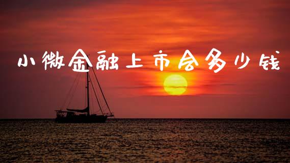 小微金融上市会多少钱_https://wap.sdyuehang.cn_产经新闻_第1张