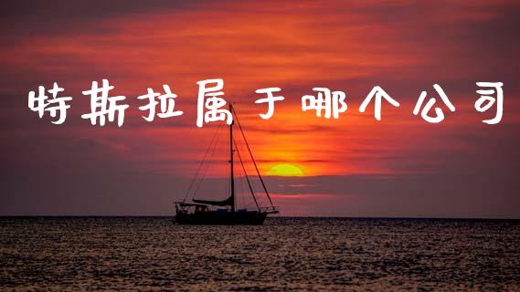 特斯拉属于哪个公司_https://wap.sdyuehang.cn_产经新闻_第1张