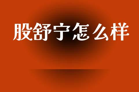 股舒宁怎么样_https://wap.sdyuehang.cn_美股行情_第1张