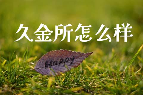 久金所怎么样_https://wap.sdyuehang.cn_美股行情_第1张