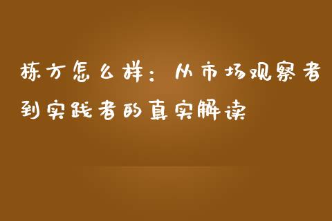 栋方怎么样：从市场观察者到实践者的真实解读_https://wap.sdyuehang.cn_债券资讯_第1张