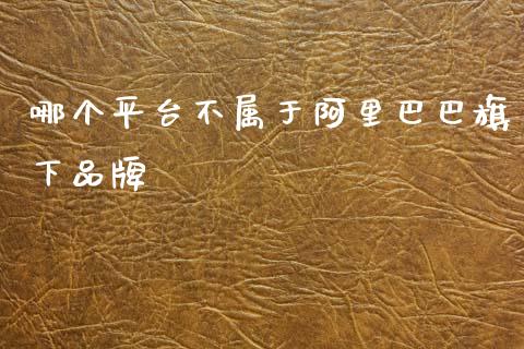 哪个平台不属于阿里巴巴旗下品牌_https://wap.sdyuehang.cn_美股行情_第1张