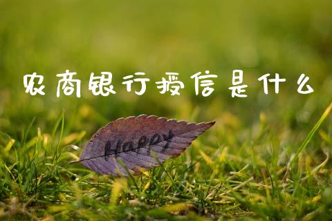 农商银行授信是什么_https://wap.sdyuehang.cn_美股行情_第1张