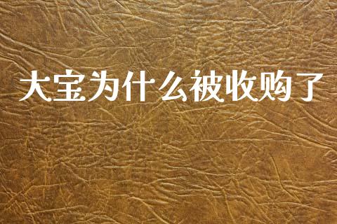 大宝为什么被收购了_https://wap.sdyuehang.cn_债券资讯_第1张