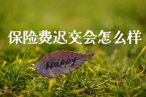 保险费迟交会怎么样_https://wap.sdyuehang.cn_新股申购_第1张