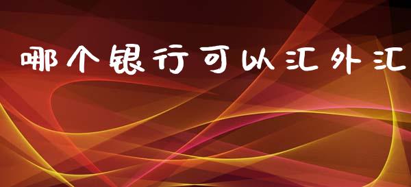 哪个银行可以汇外汇_https://wap.sdyuehang.cn_债券资讯_第1张