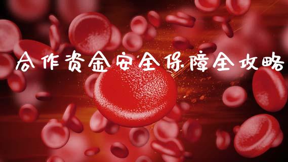 合作资金安全保障全攻略_https://wap.sdyuehang.cn_债券资讯_第1张