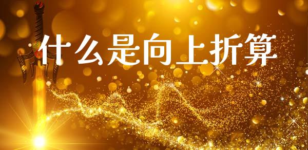 什么是向上折算_https://wap.sdyuehang.cn_债券资讯_第1张