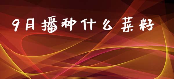9月播种什么菜籽_新股申购_第1张_产经新闻_债券资讯_新股申购_美股行情 9月播种什么菜籽_https://wap.sdyuehang.cn_新股申购_第1张