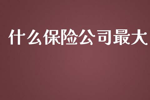 什么保险公司最大_https://wap.sdyuehang.cn_新股申购_第1张