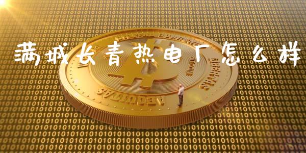 满城长青热电厂怎么样_https://wap.sdyuehang.cn_债券资讯_第1张