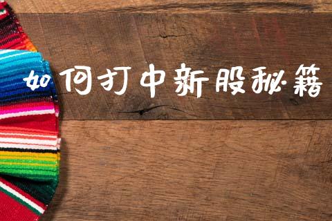 如何打中新股秘籍_https://wap.sdyuehang.cn_新股申购_第1张
