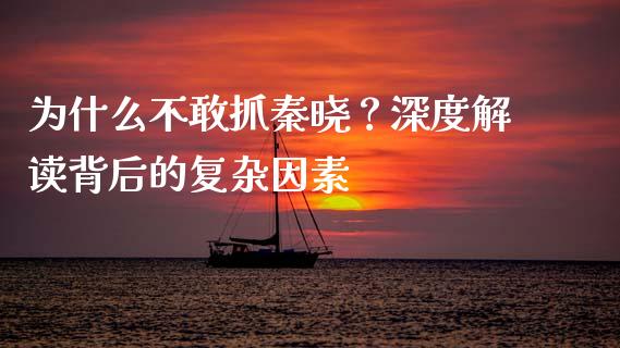 为什么不敢抓秦晓？深度解读背后的复杂因素_https://wap.sdyuehang.cn_新股申购_第1张