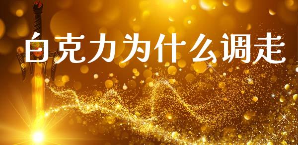 白克力为什么调走_https://wap.sdyuehang.cn_美股行情_第1张