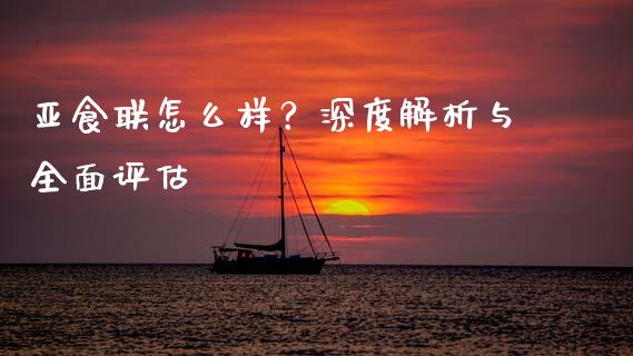 亚食联怎么样？深度解析与全面评估_https://wap.sdyuehang.cn_美股行情_第1张
