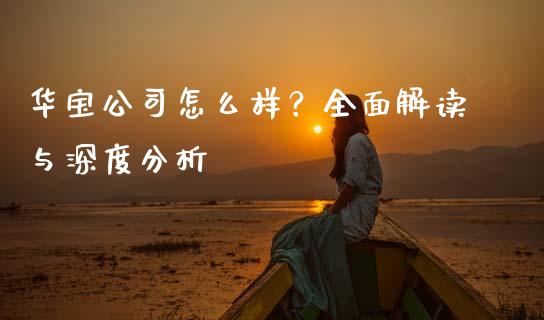 华宝公司怎么样？全面解读与深度分析_https://wap.sdyuehang.cn_产经新闻_第1张