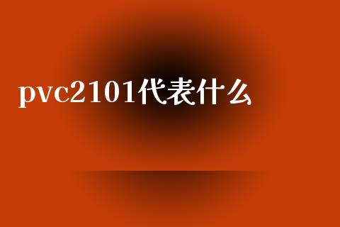 pvc2101代表什么_https://wap.sdyuehang.cn_新股申购_第1张
