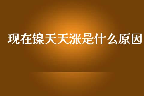 现在镍天天涨是什么原因_https://wap.sdyuehang.cn_产经新闻_第1张