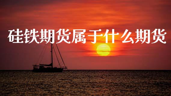 硅铁期货属于什么期货_https://wap.sdyuehang.cn_新股申购_第1张