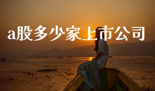 a股多少家上市公司_https://wap.sdyuehang.cn_产经新闻_第1张