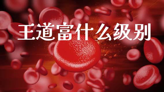王道富什么级别_https://wap.sdyuehang.cn_债券资讯_第1张