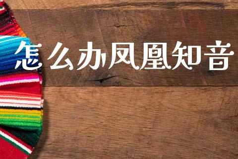 怎么办凤凰知音_https://wap.sdyuehang.cn_新股申购_第1张