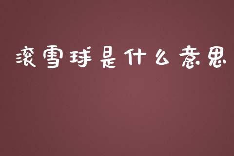 滚雪球是什么意思_https://wap.sdyuehang.cn_美股行情_第1张