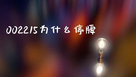 002215为什么停牌_https://wap.sdyuehang.cn_债券资讯_第1张