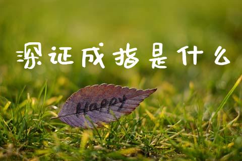深证成指是什么_https://wap.sdyuehang.cn_新股申购_第1张