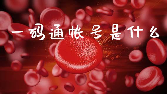 一码通帐号是什么_https://wap.sdyuehang.cn_新股申购_第1张