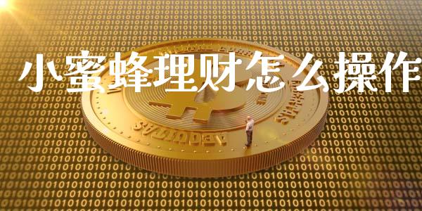 小蜜蜂理财怎么操作_https://wap.sdyuehang.cn_新股申购_第1张