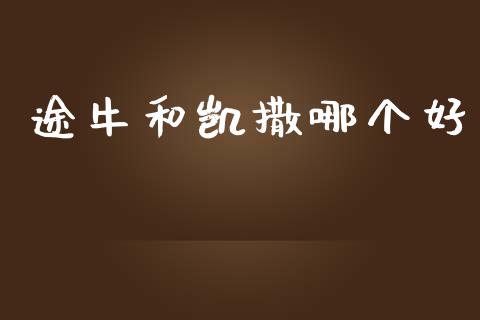 途牛和凯撒哪个好_https://wap.sdyuehang.cn_债券资讯_第1张