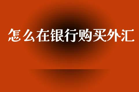 怎么在银行购买外汇_https://wap.sdyuehang.cn_新股申购_第1张