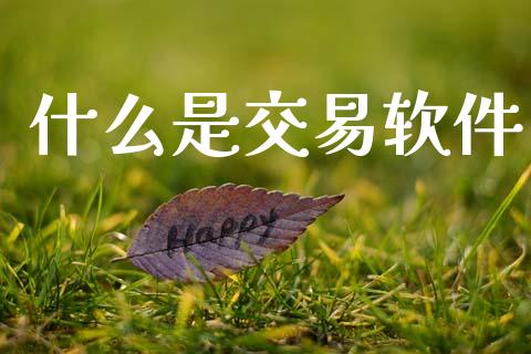 什么是交易软件_https://wap.sdyuehang.cn_美股行情_第1张