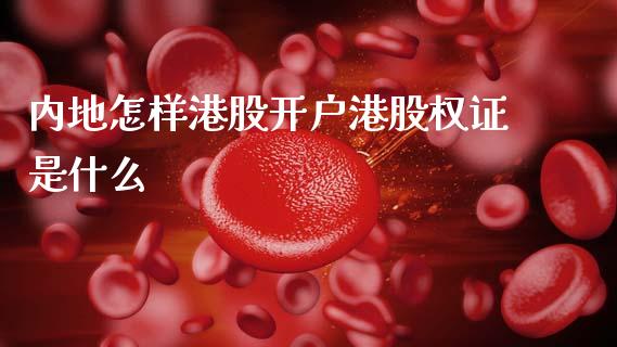 内地怎样港股开户港股权证是什么_https://wap.sdyuehang.cn_产经新闻_第1张