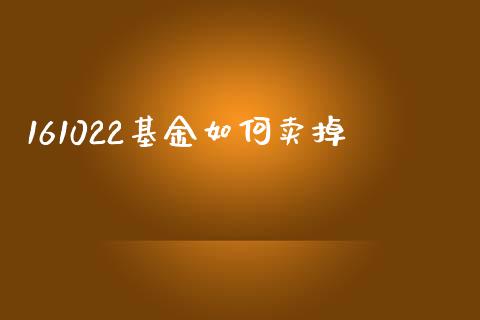 161022基金如何卖掉_https://wap.sdyuehang.cn_美股行情_第1张