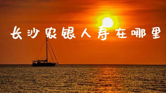 长沙农银人寿在哪里_https://wap.sdyuehang.cn_债券资讯_第1张