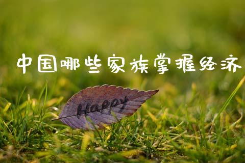 中国哪些家族掌握经济_https://wap.sdyuehang.cn_产经新闻_第1张