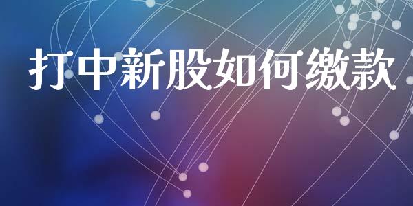 打中新股如何缴款_https://wap.sdyuehang.cn_美股行情_第1张