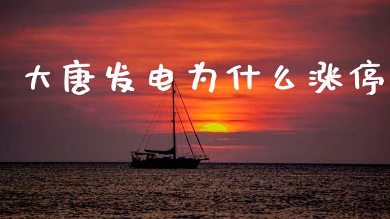 大唐发电为什么涨停_https://wap.sdyuehang.cn_债券资讯_第1张